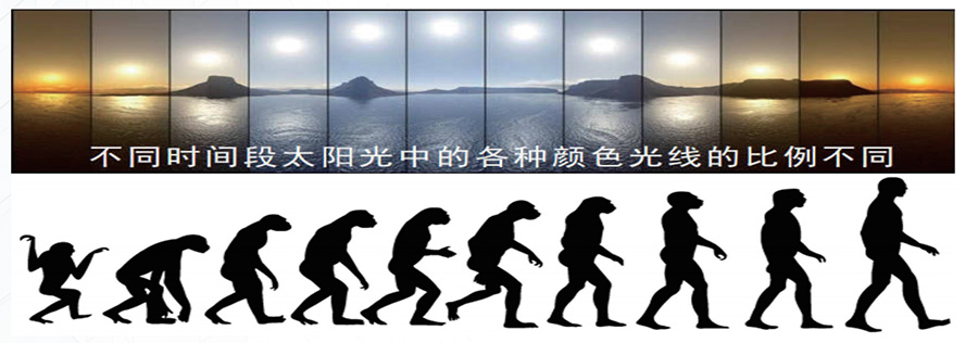 图片21.jpg 图片21.jpg