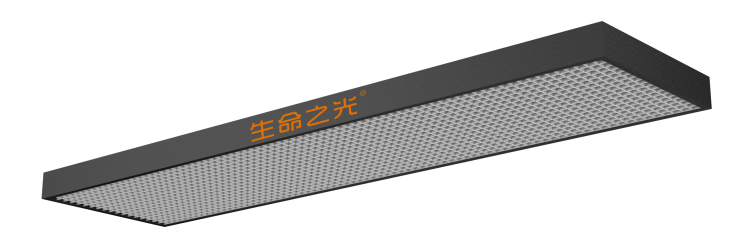 30.png 30.png