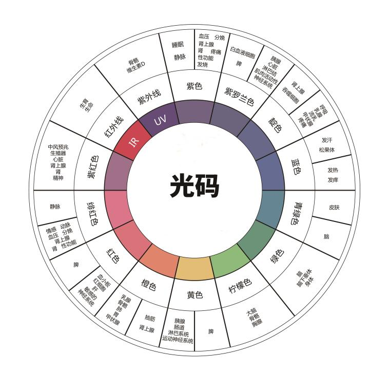 订单.png 订单.png